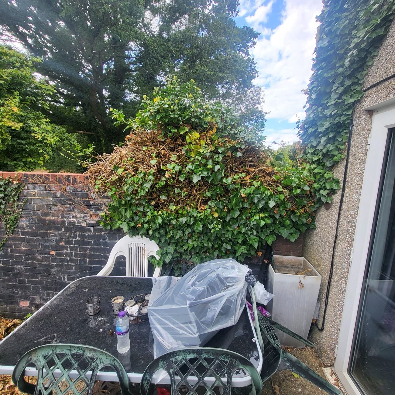 Ivy and bramble coming off the wall and the boundary — pulled down, cut back and stacked before it went away, rather than being pushed into a corner out of sight.